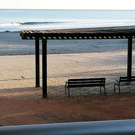 Pineda 1a Línea *